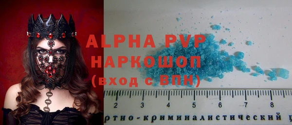 стафф Алексин