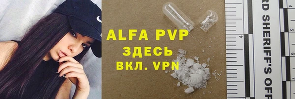 стафф Алексин
