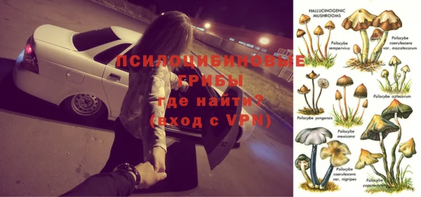 стафф Алексин