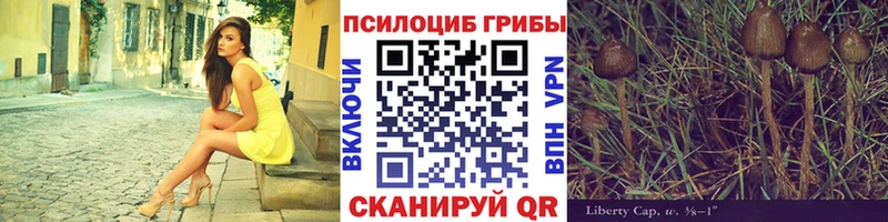 Галлюциногенные грибы Magic Shrooms  Приозерск 