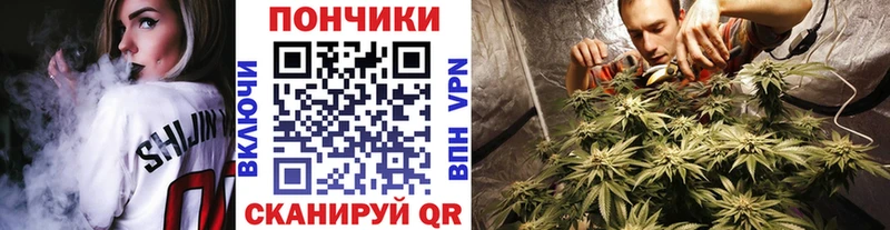 купить наркотик  Приозерск  Конопля индика 